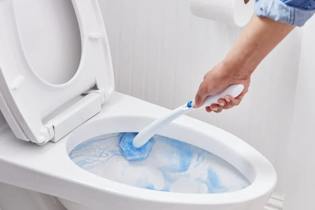 House Cleaning Tips From The Pros Scrub the area behind the toilet