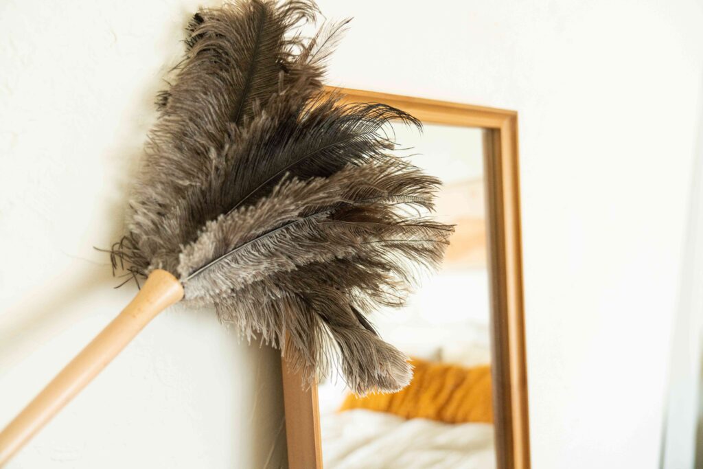 Feather duster: Duster For House Cleaning