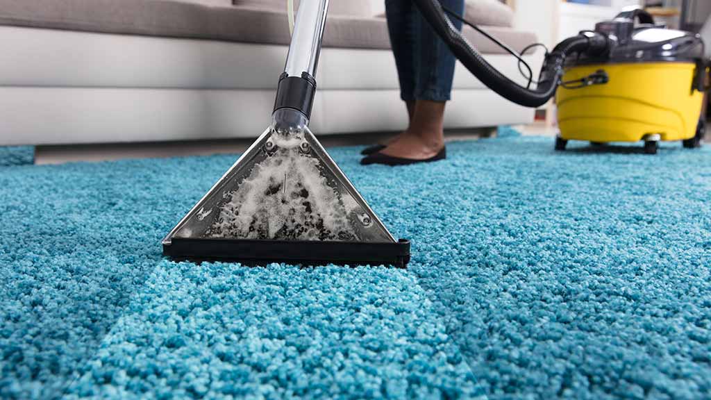 What Cleaning Supplies Do I Need To Clean My House: Carpet cleaner