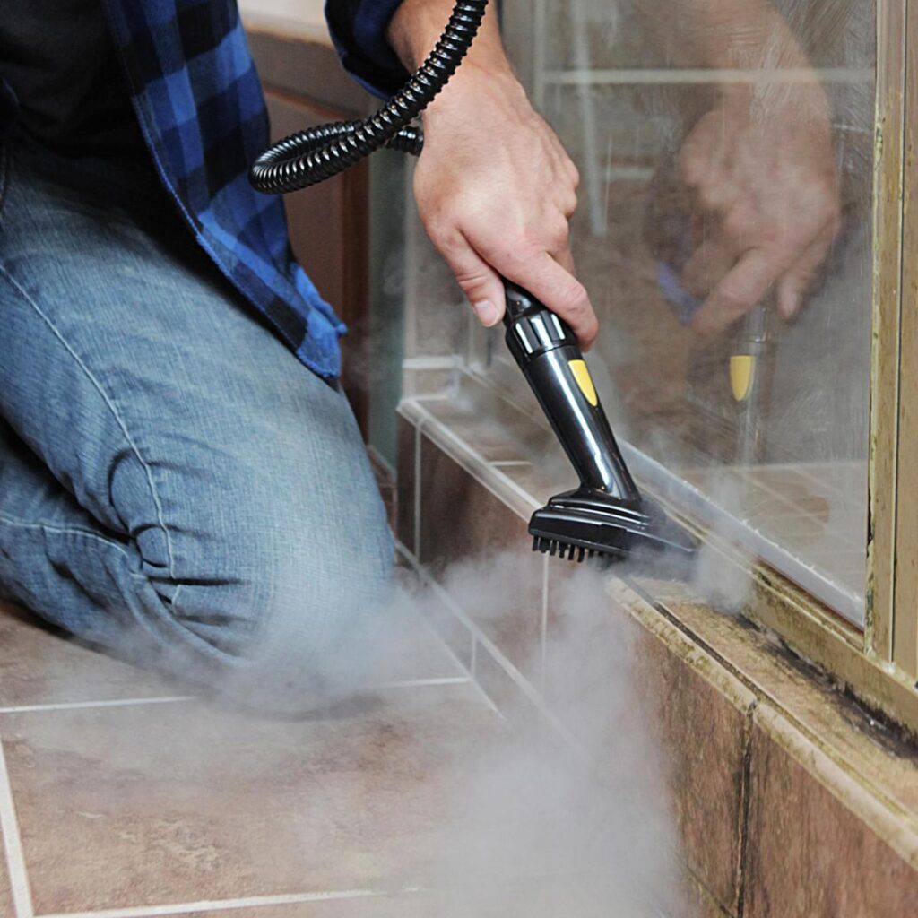 Handheld steam cleaners: Best Steamer For House Cleaning