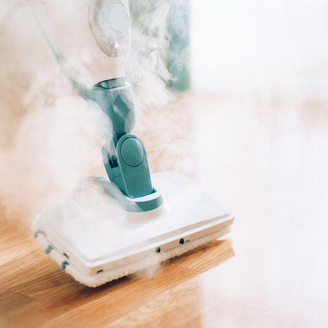 Best Steamer For House Cleaning