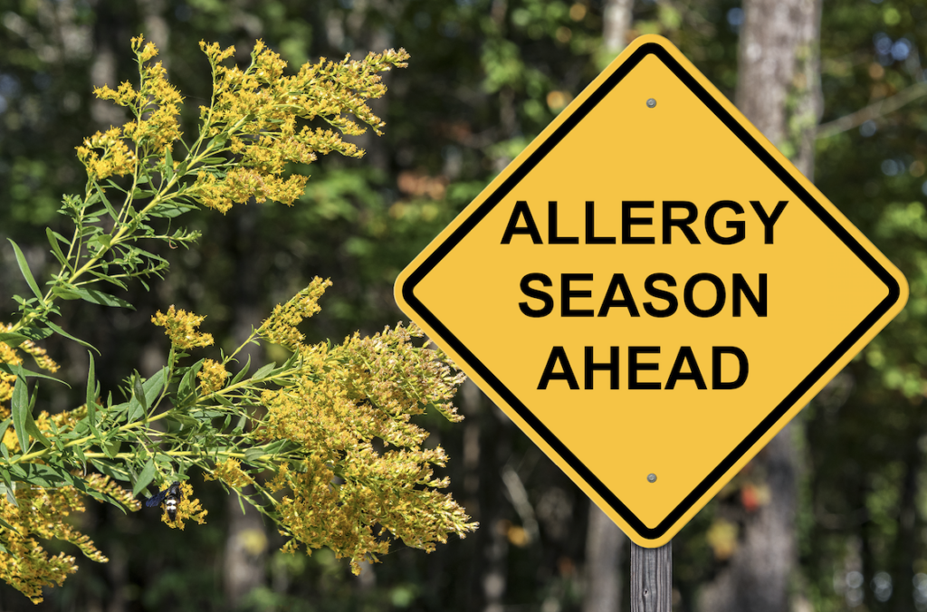 Challenge #4 — Pollen and Allergens