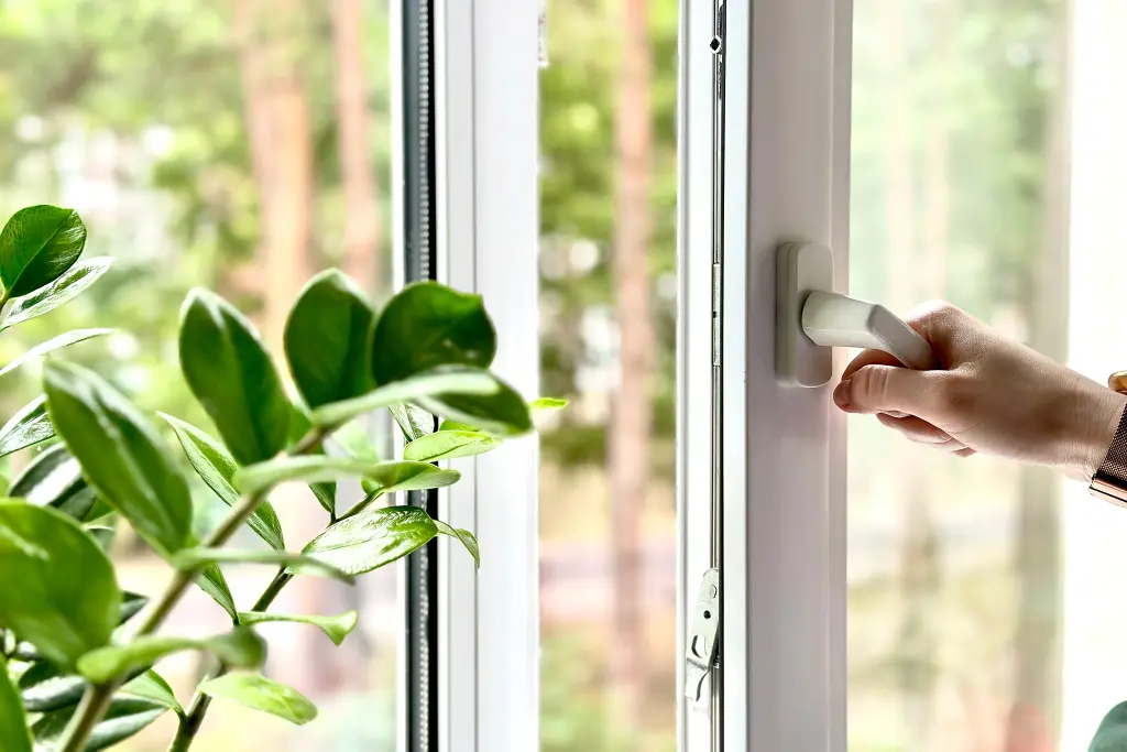 4. Healthier Air and Fewer Allergens