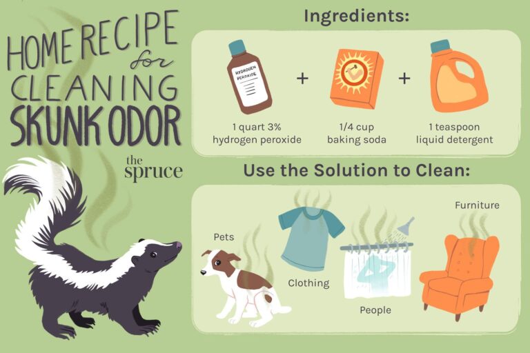 Cleaning skunk smell from house: Naturally and Effectively in 3 easy steps