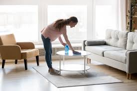 How To Do House Cleaning: Cleaning the Living Room