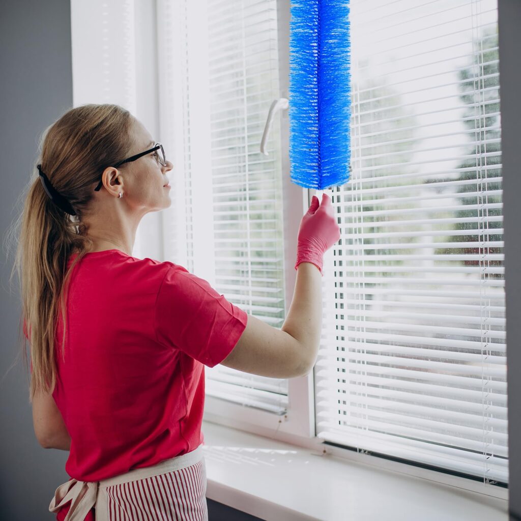 Dust and Cobweb Removal from Windows 