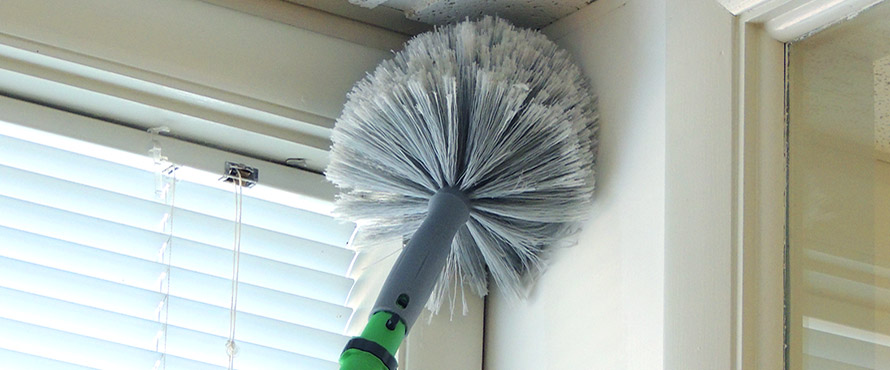 Best order for cleaning the house: Dust and Cobweb Removal