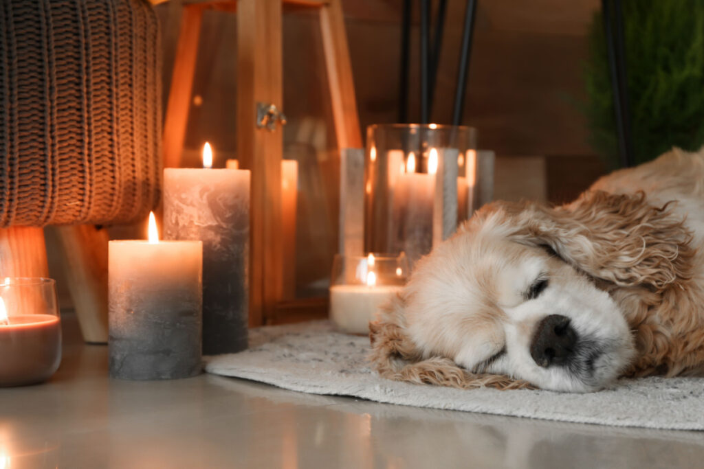 Pet-Safe Candles