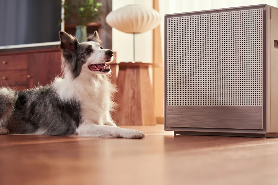 Pet friendly Air Purifiers